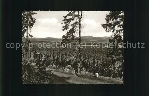 Hohegeiss Harz Blick auf Wurmberg und Achtermann Kat. Braunlage