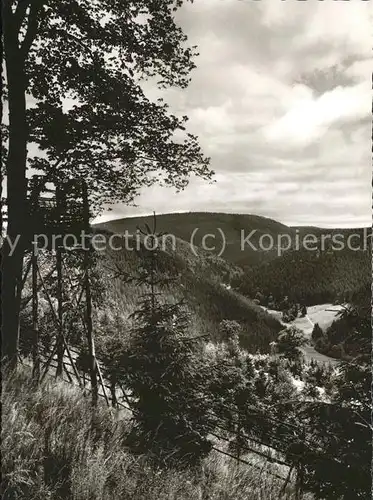 Hohegeiss Harz Blick ins Kunzenbachtal Kat. Braunlage