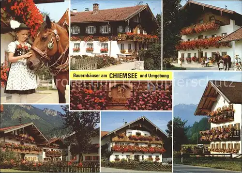Chiemsee Oberbayerischer Blumenschmuck an Bauernhaeusern und Pferden Kat. Chiemsee