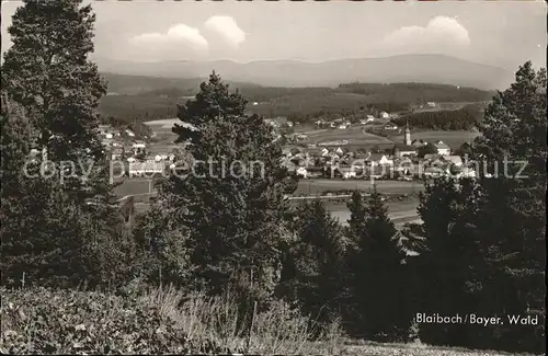 Blaibach Panorama Bayerischer Wald Kat. Blaibach