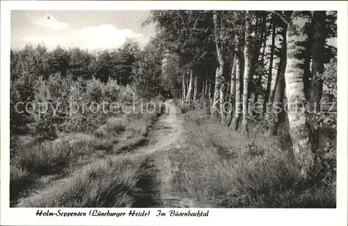 Holm Seppensen Partie im Buesenbachtal Lueneburger Heide Kat. Buchholz in der Nordheide