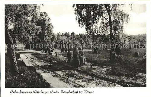 Holm Seppensen im Buesenbachtal bei Woerme Lueneburger Heide Kat. Buchholz in der Nordheide