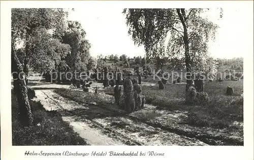 Holm Seppensen im Buesenbachtal bei Woerme Lueneburger Heide Kat. Buchholz in der Nordheide