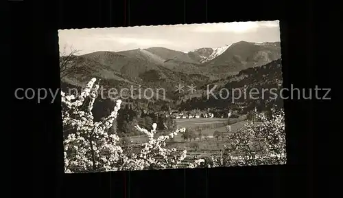 Guenterstal Freiburg Panorama Baumbluete Schauinsland / Freiburg im Breisgau /Breisgau-Hochschwarzwald LKR