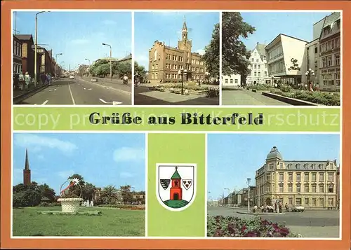 Bitterfeld Leninstrasse Rathaus Markt Naherholungsgebiet Gruene Lunge Bahnhofshotel Wappen Kat. Bitterfeld