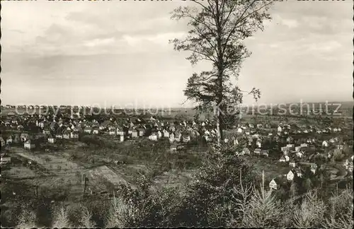 Birkenfeld Wuerttemberg Gesamtansicht Erholungsort Kat. Birkenfeld