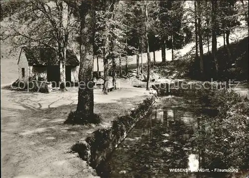 Wiesensteig Filsursprung Quelle Kat. Wiesensteig