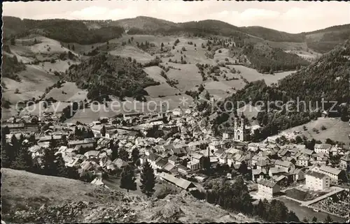 Todtnau Totalansicht Kat. Todtnau