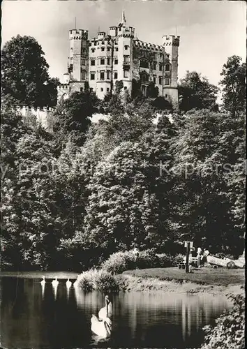 Hohenschwangau Schloss mit Schwanenteich Kat. Schwangau