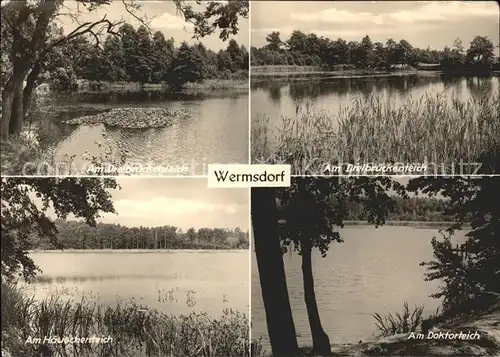 Wermsdorf Dreibrueckenteich Haeuschenteich Doktorteich Kat. Wermsdorf