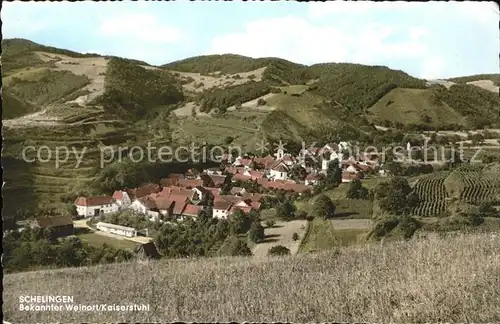 Schelingen Ortsansicht mit Kaiserstuhl Kat. Vogtsburg im Kaiserstuhl