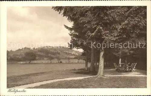 Wien Kuranstalt Weyer Waldpartie Kat. Wien