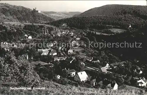 Senftenberg Niederoesterreich Ortsansicht Kremsertal Kat. Senftenberg