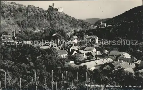 Senftenberg Niederoesterreich Ortsblick mit Burg Kat. Senftenberg