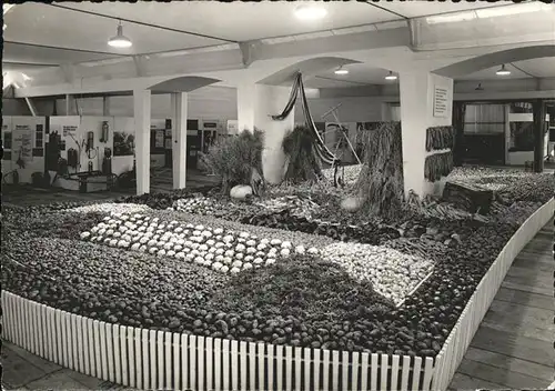 St Gallen SG OLMA Ostschweizer Land  und Milchwirtschaftliche Messe und Ausstellung Kat. St Gallen