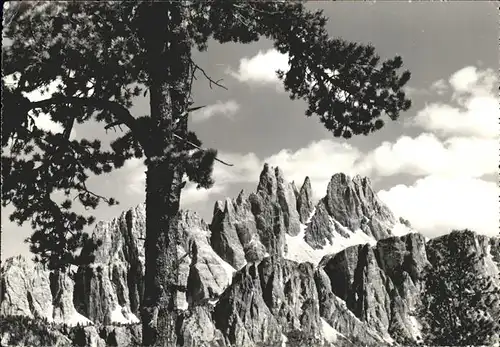 Cortina d Ampezzo Croda da Lago Dolomiti Bergtour Hoehenweg Dolomiten Kat. Cortina d Ampezzo