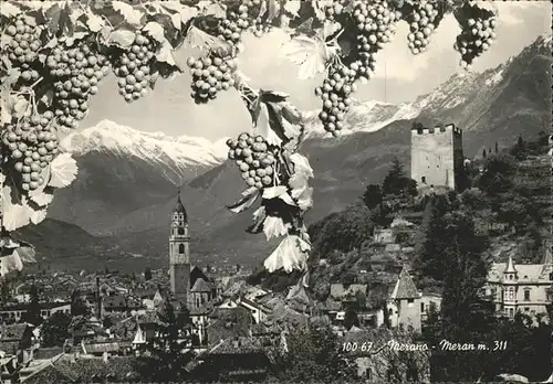 Merano Suedtirol Gesamtansicht Dom Burg Bergpanorama Weintrauben Kat. Merano