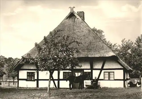 Klockenhagen Denkmalhof Kat. Ribnitz Damgarten