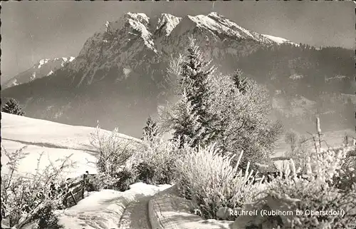 Oberstdorf Winterimpressionen Rauhreif mit Rubihorn Allgaeuer Alpen Kat. Oberstdorf