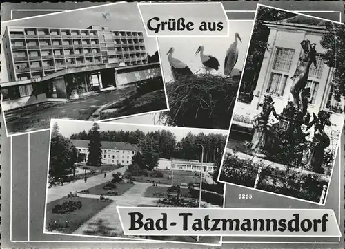 Bad Tatzmannsdorf Burgenland Brunnen Stoerche Kat. Bad Tatzmannsdorf
