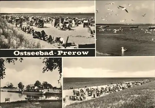 Prerow Ostseebad Strand Hafen Moeven  / Darss /Nordvorpommern LKR