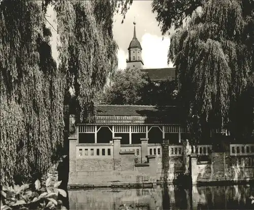 Bischofswerda Schillerpark Muehlteich Kat. Bischofswerda