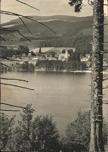 Titisee Seepanorama Kat. Titisee Neustadt