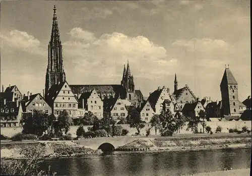 Ulm Donau Stadtansicht mit Muenster Kat. Ulm