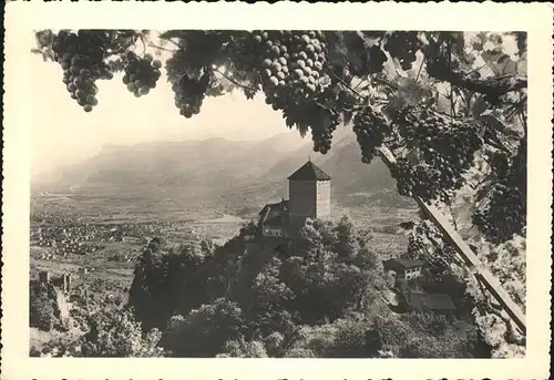 Merano Suedtirol Traubenernte Schloss Tirol Kat. Merano