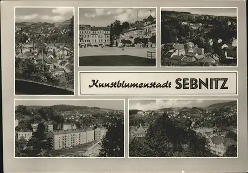 Sebnitz Panorama und Teilansichten Kat. Sebnitz