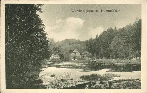 Hummelshain Wuerzbachgrund Weiher Kat. Hummelshain