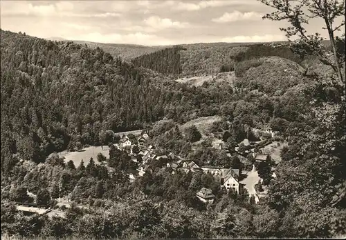 Treseburg Harz Gesamtansicht Luftkurort Kat. Treseburg