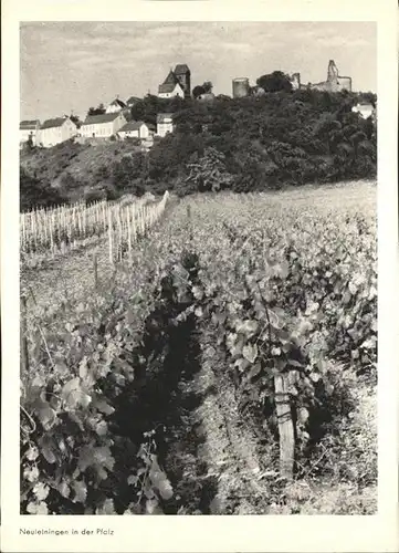 Neuleiningen Blick zur Burg Weinreben Kat. Neuleiningen