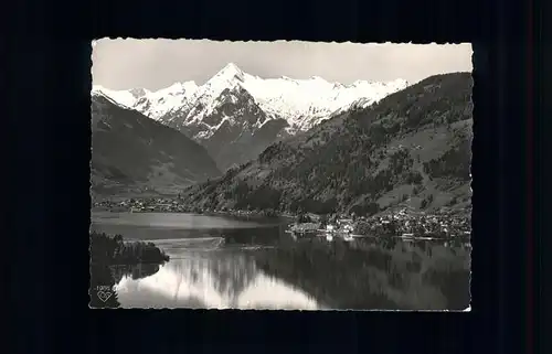 Zell See Panorama mit Kitzsteinhorn Hohe Tauern Kat. Zell am See