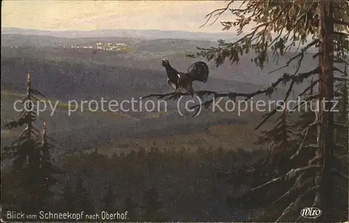 Oberhof Thueringen Blick vom Schneekopf Kat. Oberhof Thueringen