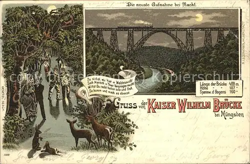 Muengsten Kaiser Wilhelm Bruecke Eisenbahn Wild Kat. Remscheid