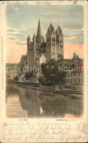 Limburg Lahn Dom Lahn Kuenstlerkarte Kat. Limburg a.d. Lahn