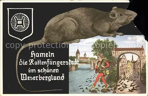 Hameln Rattenfaengerstadt Meserbergland Kat. Hameln