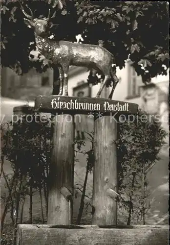 Neustadt Titisee Hirschbrunnen Hoehenluftkurort Kneippbad Kat. Titisee Neustadt