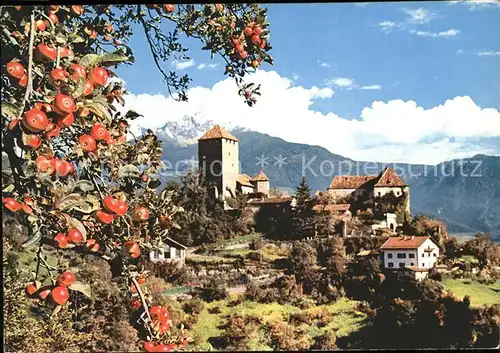 Merano Suedtirol Castel Tirolo con Ivigna Schloss Tirol Ilfinger Sarntaler Alpen Apfelbaum Kat. Merano