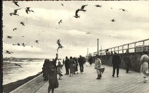 Norderney Nordseebad Uferpromenade Moewen Kat. Norderney