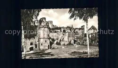 Hardenburg Ruine Hardenburg Kat. Bad Duerkheim