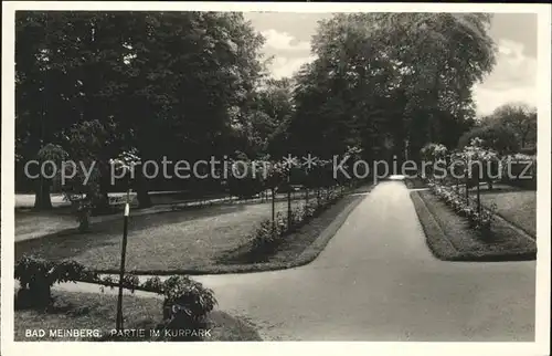 Bad Meinberg Partie im Kurpark Kat. Horn Bad Meinberg