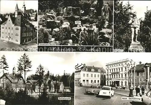 Ernstthal Rathaus Versteinerte Baeume Bergmann Bethlehemstift Hotel Sachsenring Kat. Lauscha