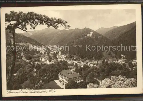 Gutenstein Niederoesterreich Gesamtansicht Kat. Gutenstein