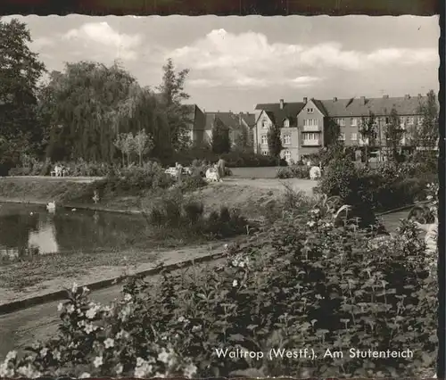 Waltrop Partie am Stutenteich Kat. Waltrop