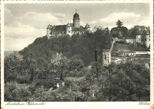 Montabaur Westerwald Schloss Ruine Kat. Montabaur