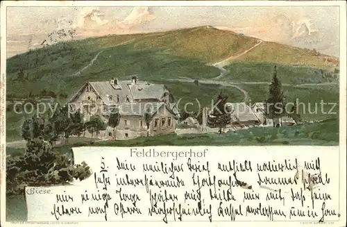 Feldberg Schwarzwald Feldbergerhof (Kuenstlerkarte v.C.Biese)
 Kat. Feldberg (Schwarzwald)