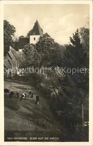 Bad Meinberg Kirche Kuehe Kat. Horn Bad Meinberg