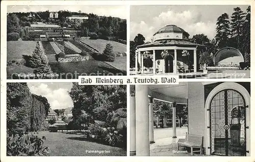 Bad Meinberg Brunnen Palmengarten Kurpark Kurheim Kat. Horn Bad Meinberg